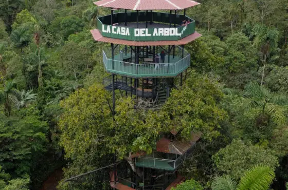 La Casa del Árbol