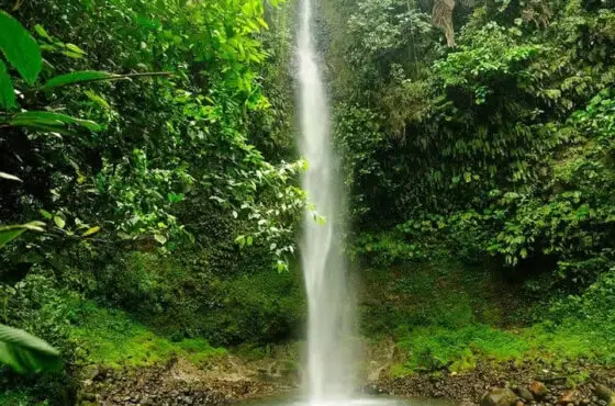 Cascada Hola Vida