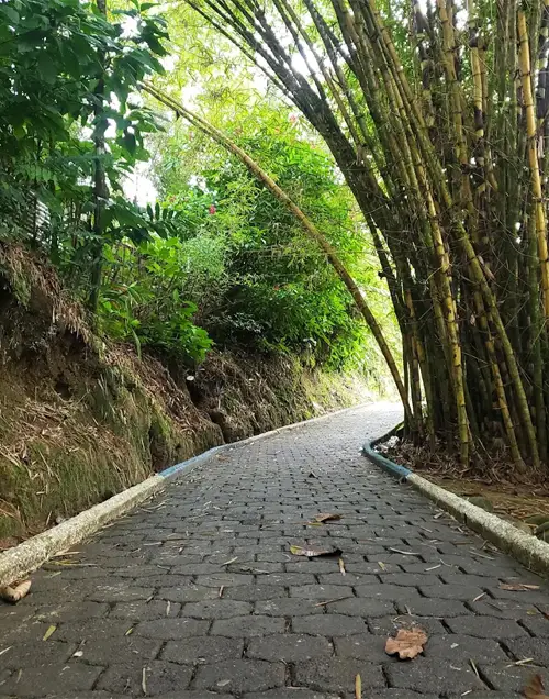 Paseo Turístico